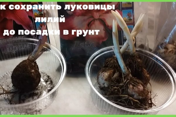 Ссылка блэкспрут bs2onion org