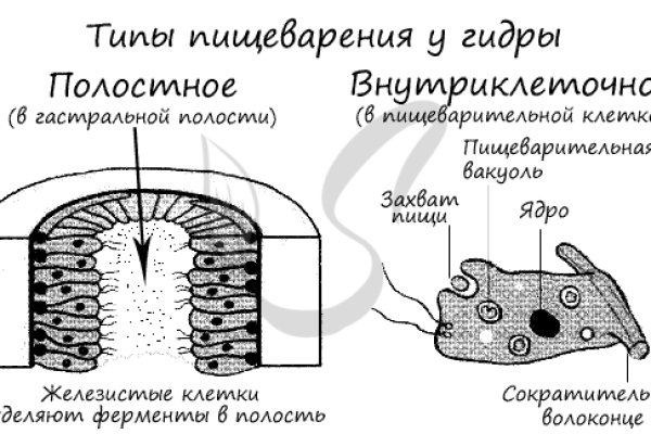 Black sprut site