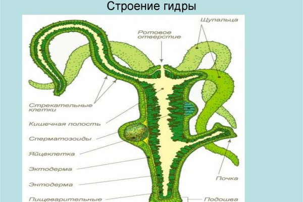 Не могу зайти на аккаунт блэкспрут